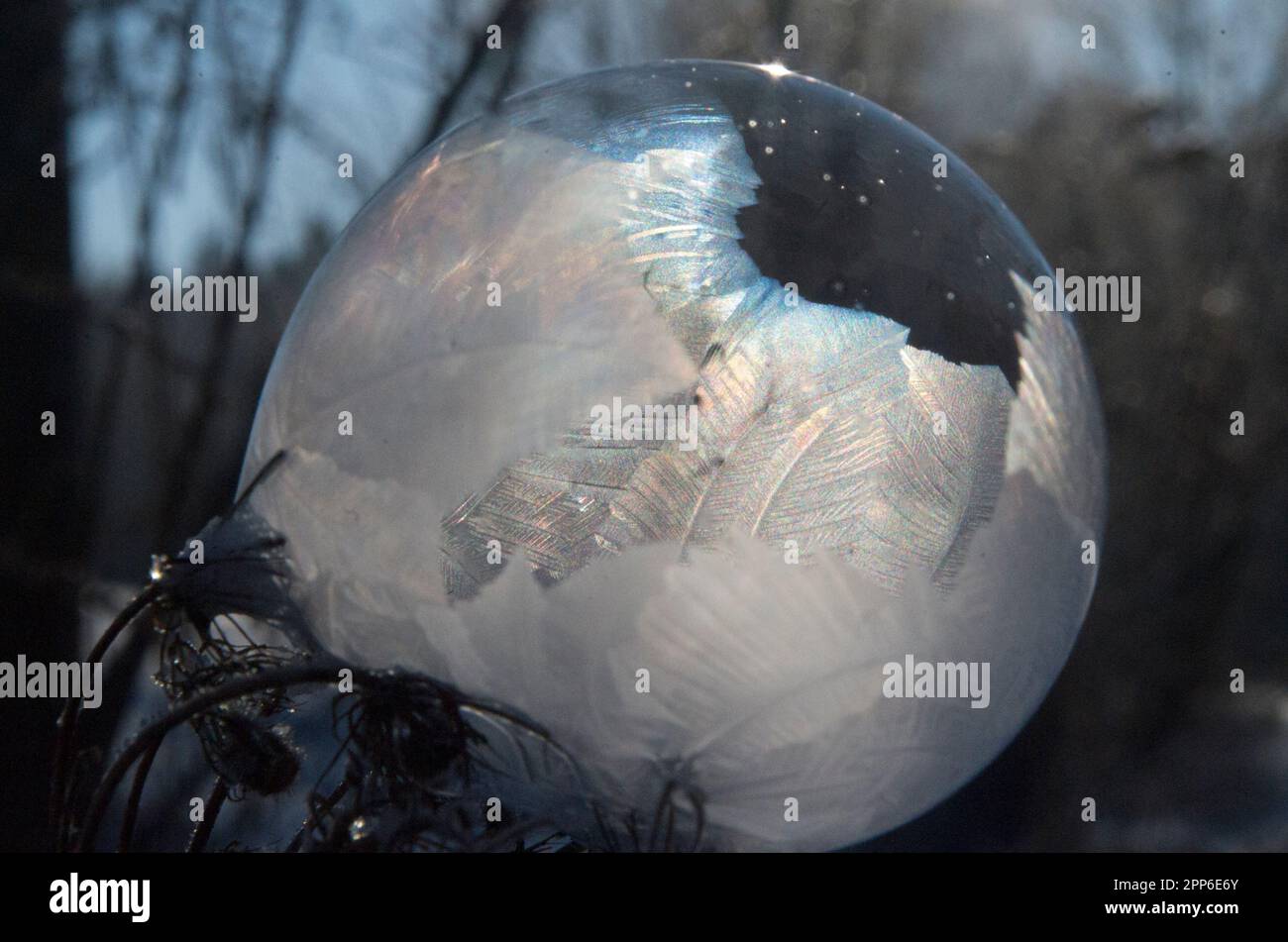 Gefrorene Eisblase. Stockfoto