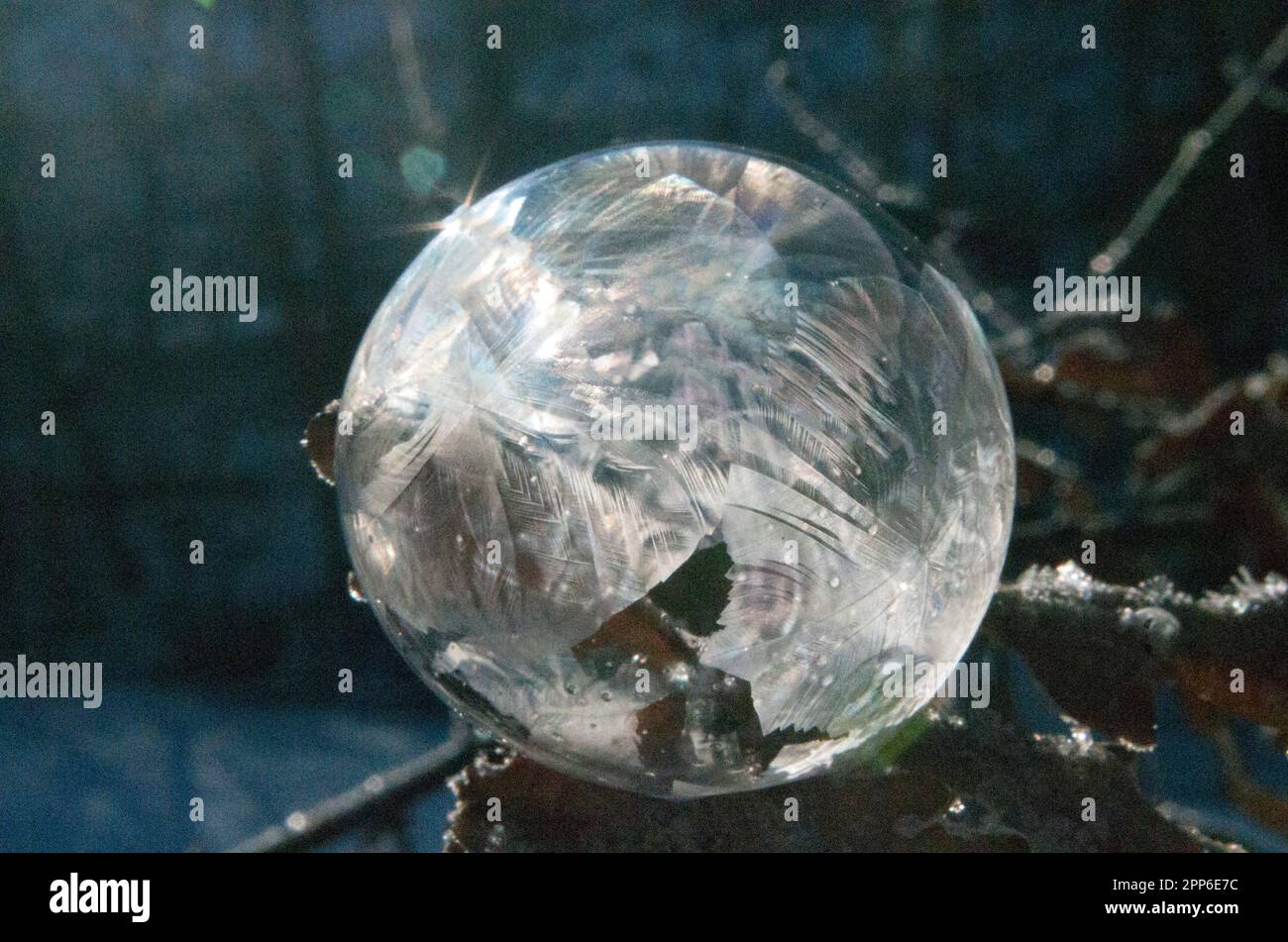 Gefrorene Eisblase. Stockfoto