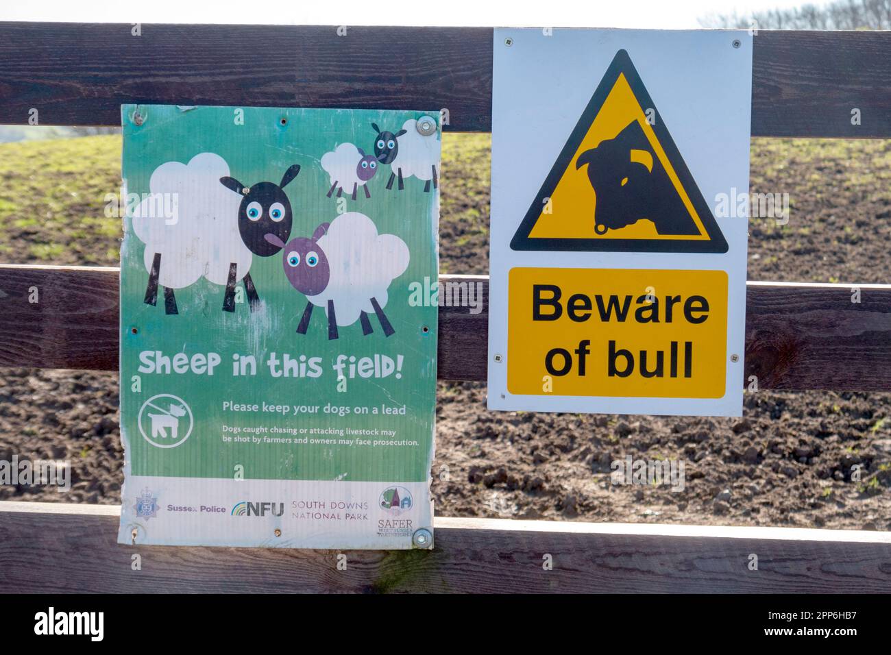 Zwei aninale Warnschilder für Wanderer, die ein Feld auf Church Hill bei Findon im South Downs National Park, West Sussex, Großbritannien überqueren. Stockfoto