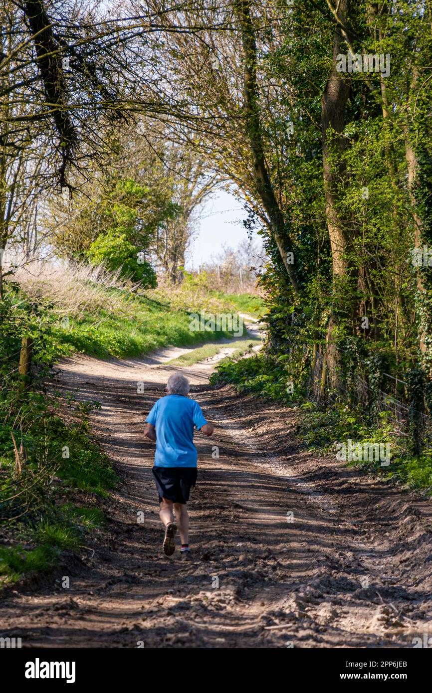 Ein Läufer in den späteren Lebensjahren, der Anfang Frühling auf einer trockenen Kreidestrecke in Richtung Church Hill bei Findon, West Sussex, Großbritannien, läuft. Stockfoto