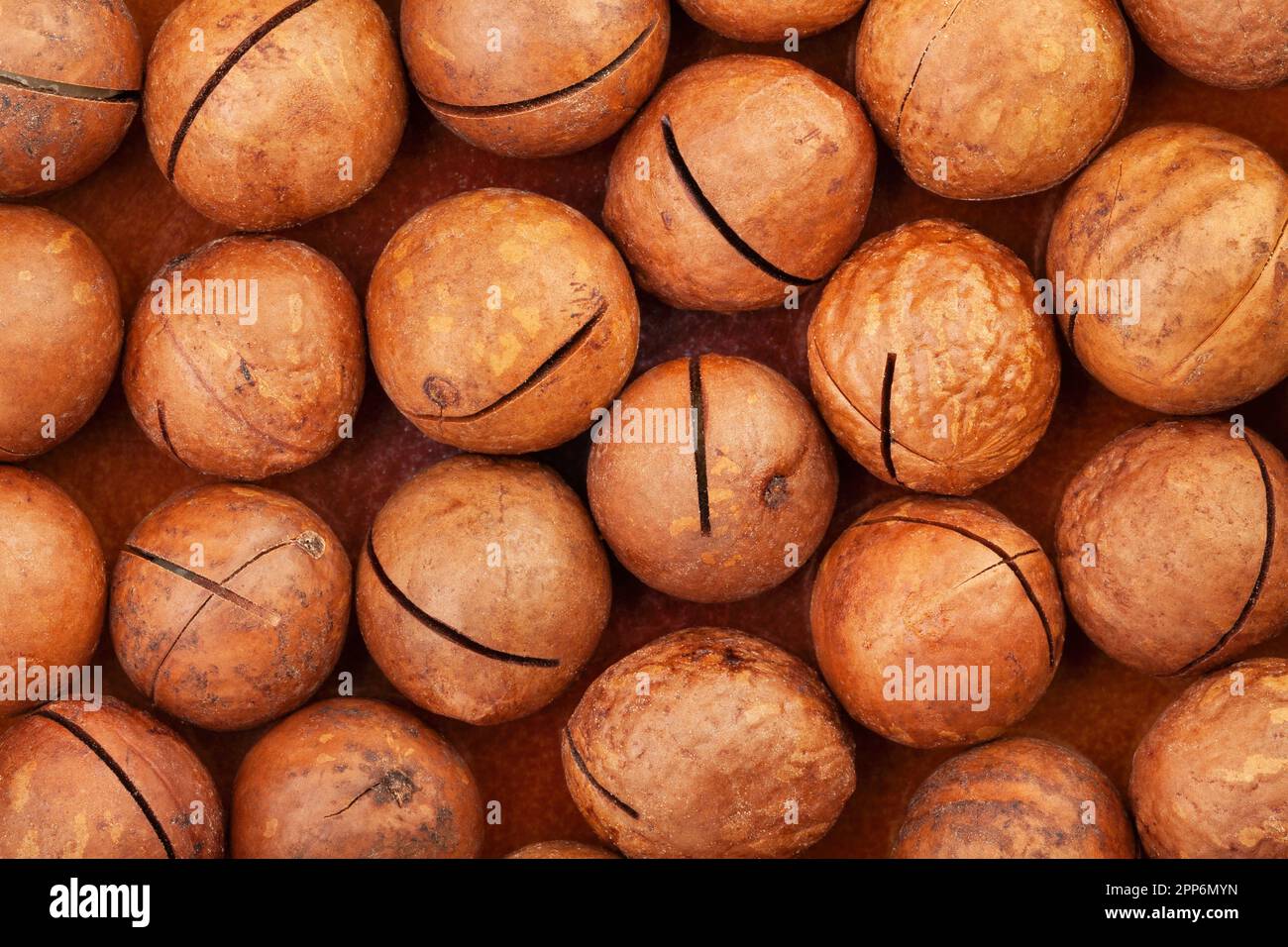 Macadamianuss-Vergrößerungsmuster Hintergrund Stockfoto