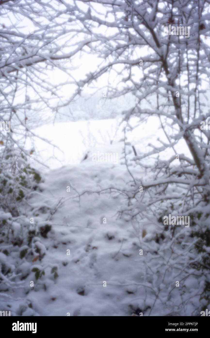 Pinhole Photography Woodland Series. Neu, altersbeständig, digitales Zeitalter, ohne Objektiv, herausragend, Hochauflösendes Nadellochbild einer schneebedeckten Landschaft Stockfoto