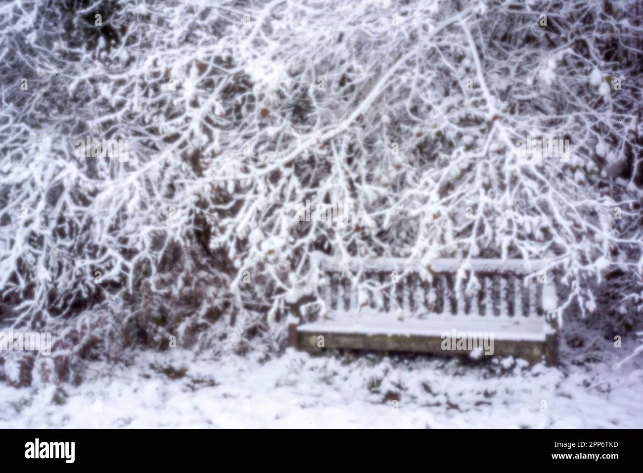 Pinhole Photography Woodland Series. Neu, altersbeständig, digitales Zeitalter, ohne Objektiv, herausragend, Hochauflösendes Nadellochbild einer schneebedeckten Landschaft Stockfoto