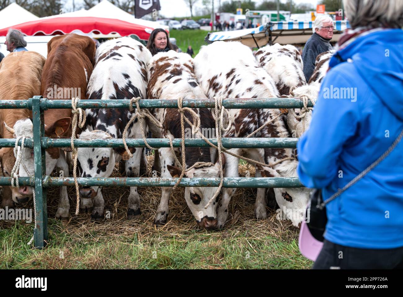 Beaucroissant, Isere, Rhone Alpes Auvergne, Frankreich April 22 2023 : die berühmte Messe Beaucroissant, die älteste Messe Frankreichs seit 1219 Stockfoto