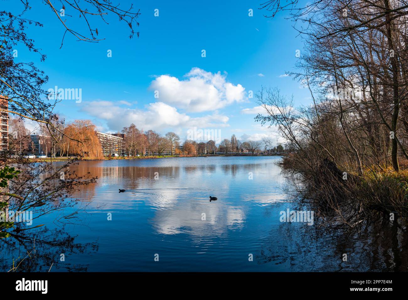 Malerischer Blick auf den See „Petteplas“ in der Stadt Waddinxveen, Niederlande an einem sonnigen Wintertag Stockfoto