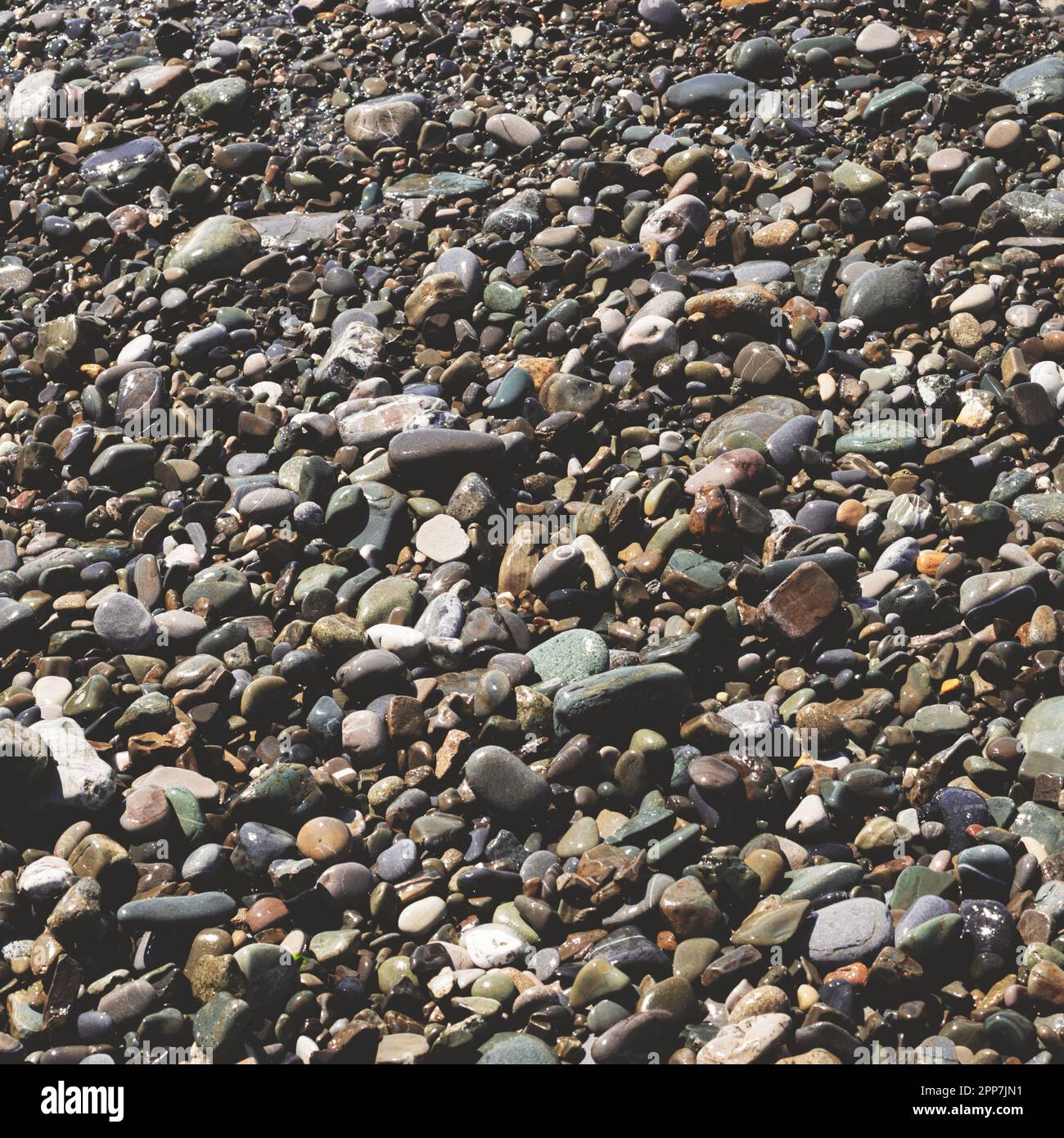Kleine nasse Steine am Meer. Steinfarbige Strandstruktur, quadratische Karte. Stockfoto