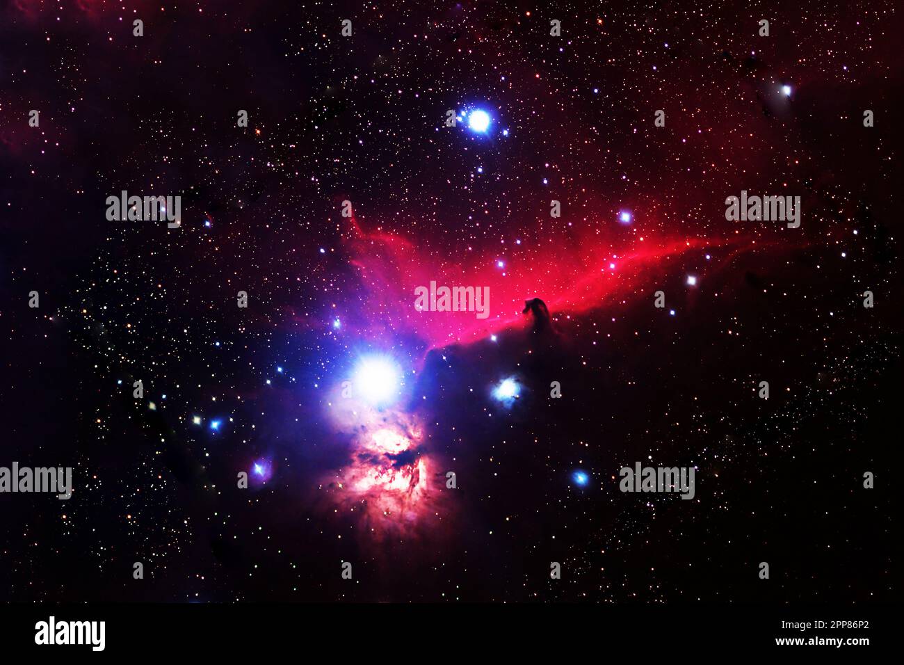 Ein kosmischer Nebel, der dem Kopf eines Pferdes ähnelt. Elemente dieses Bildes lieferten die NASA. Stockfoto