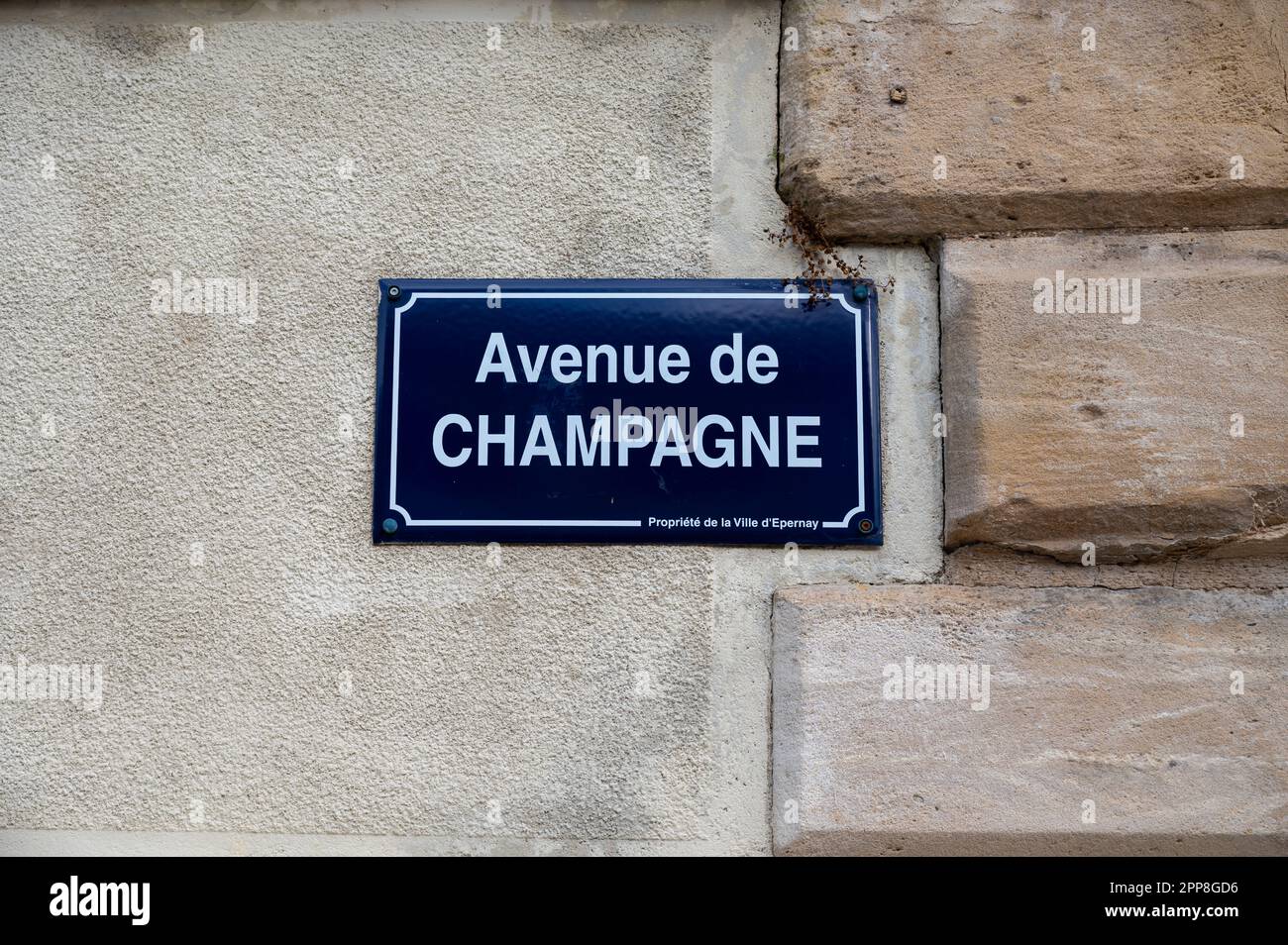 Nebensaison im Winter in der Champagner-Schaumweinregion bei Epernay, Champagne, Frankreich. Straßenschilder und Zielorte, Avenue of CNAM Stockfoto