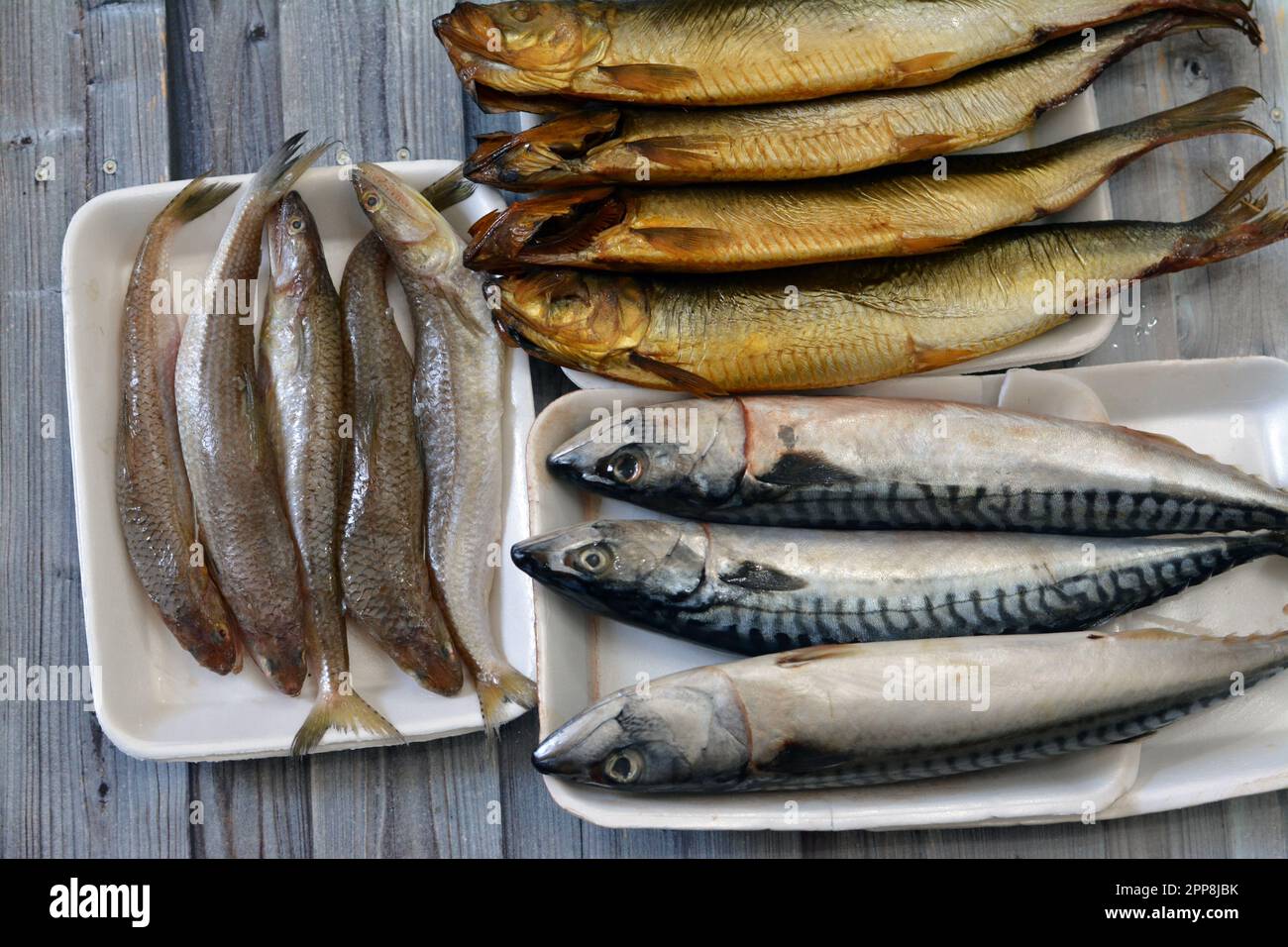 Verschiedene Arten roher Makrelenfische, Saurida undosquamis, Eidechsenbarsch, großmaßstäbliche Grinsen- oder Larscale-Saurenfische und geräucherte Salz Stockfoto