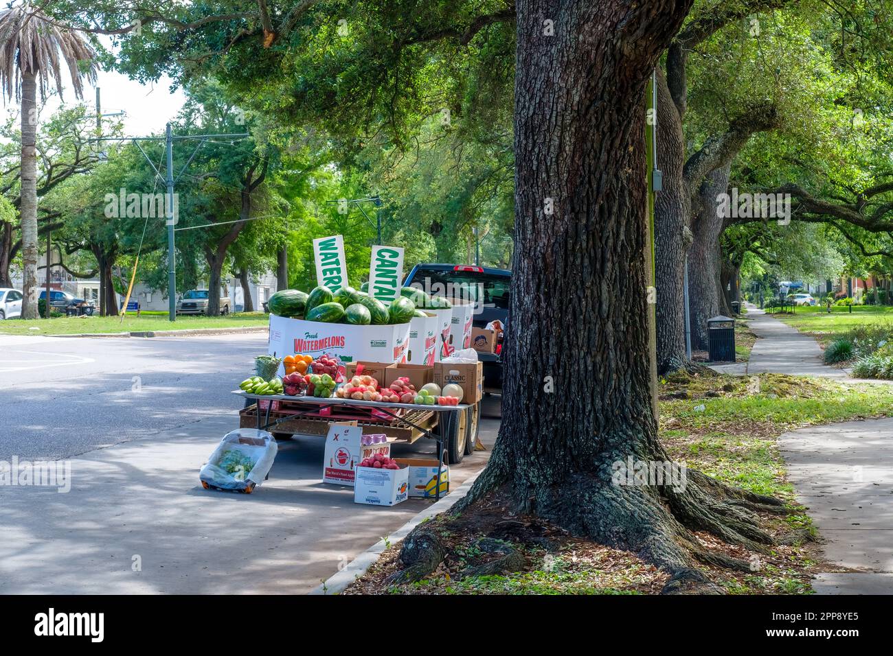 NEW ORLEANS, LA, USA - 10. APRIL 2023: Obst- und Gemüsehändler am Straßenrand neben dem Marsalis Harmony Park in North Carrollton Stockfoto
