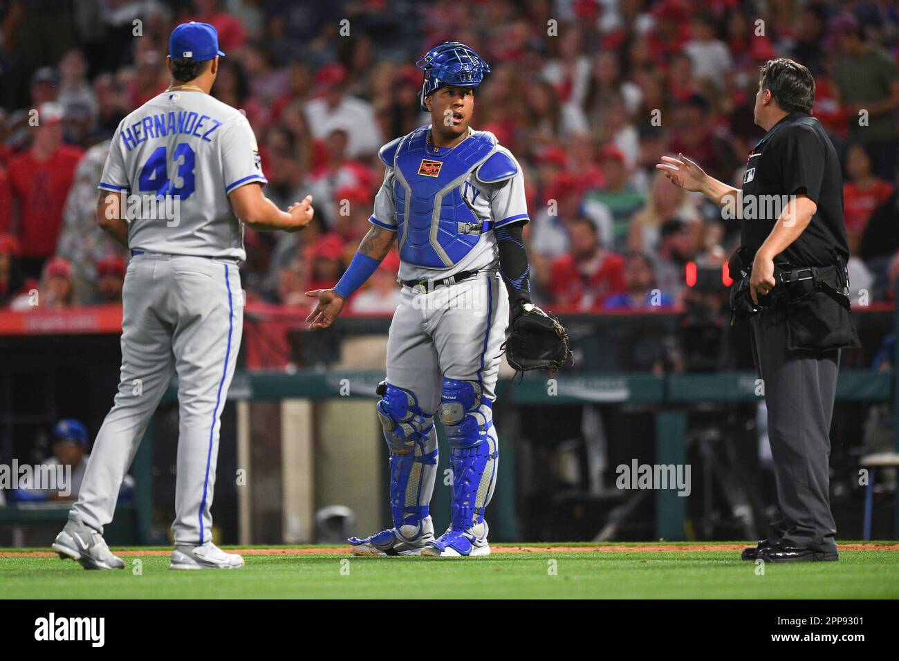 ANAHEIM, CA APRIL 22 Kansas City Royals catcher Salvador Perez (13