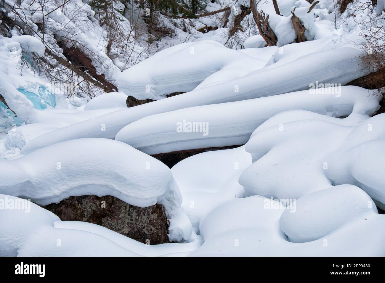 Fußweg im Winter Taigawald unter starkem Schnee entlang des Flusses Tevenek (dritter Fluss) am Ufer des Sees Teletskoe. Artybash, Altai, Sibirien, Russland Stockfoto