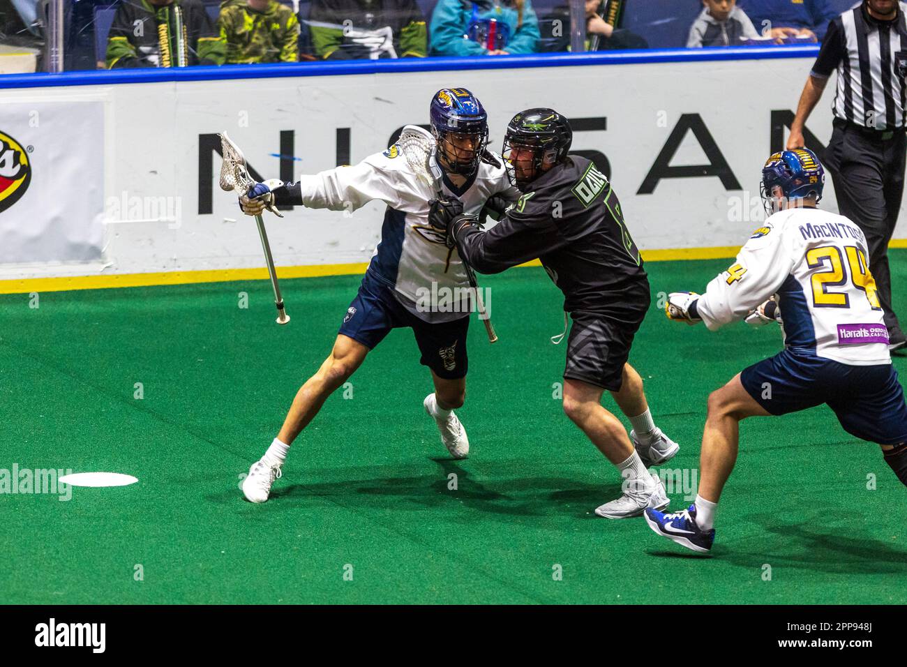 22. April 2023: Georgia Swarm Forward Lyle Thompson (4) läuft mit dem Ball im ersten Quartal gegen die Rochester Knighthawks. Die Rochester Knighthawks waren Gastgeber des Georgia Swarm bei einem Spiel der National Lacrosse League in der Blue Cross Arena in Rochester, New York. (Jonathan Tenca/CSM) Stockfoto