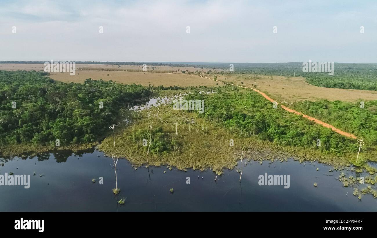 Luftaufnahme eines Teils einer Amazonischen Lagune, teilweise umgeben von Resten der ursprünglichen Regenwaldvegetation, natürliche Insel in einem landwirtschaftlichen Gebiet, en Stockfoto