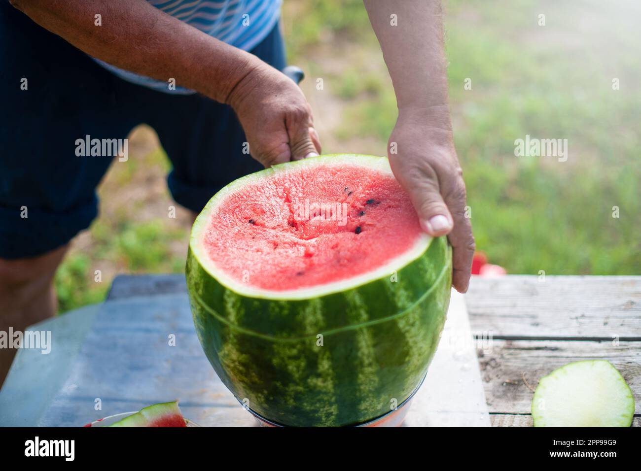 Die Hand eines Wassermelonenmanns auf einem Holztisch zu schneiden. Männerhände beim Schneiden von Wassermelone im Sommer an einem sonnigen Tag. Stockfoto