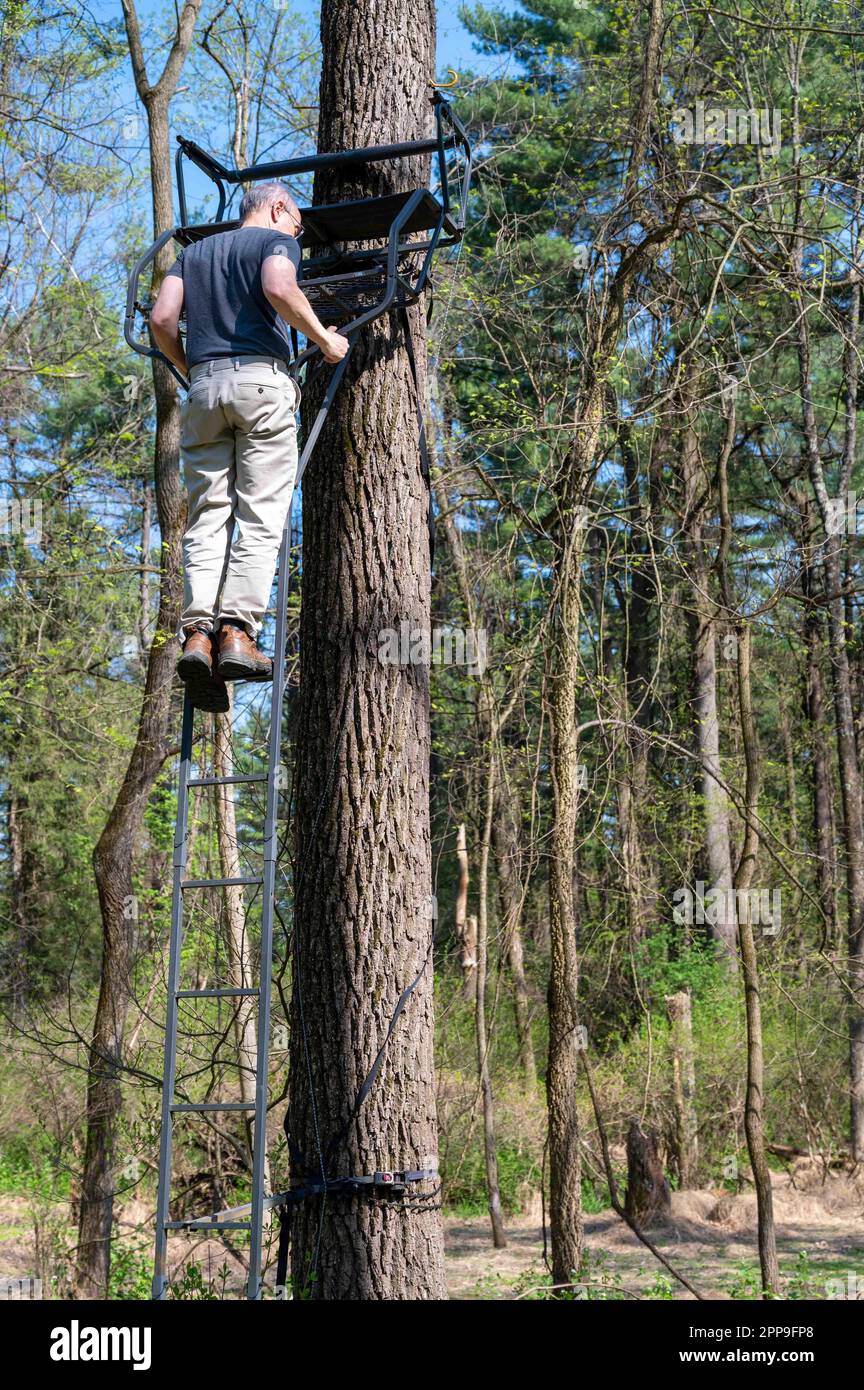 Ein Mann klettert auf die Leiter zu einem Jagdstand in Pennsylvania Woods Stockfoto