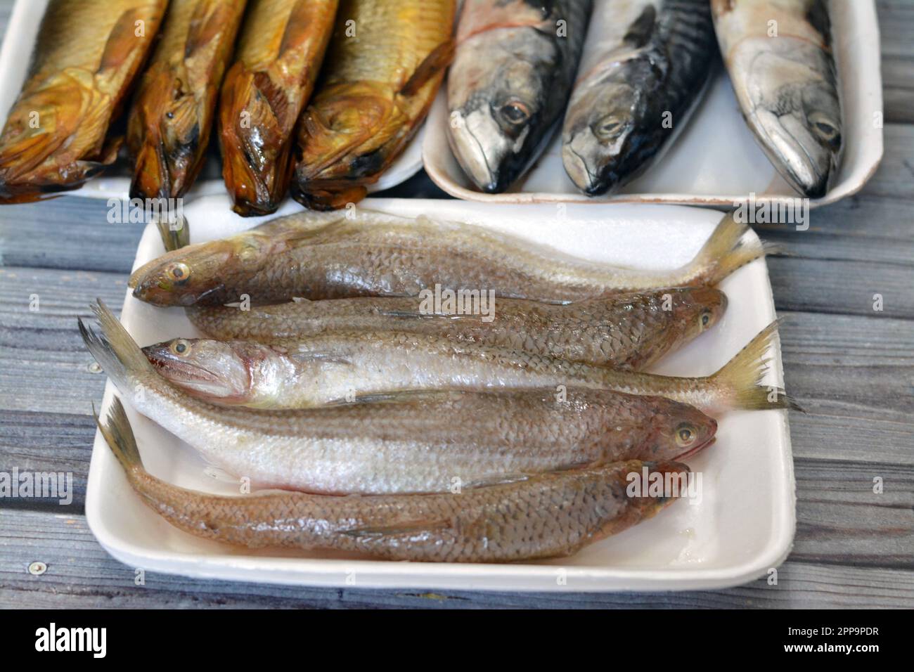 Verschiedene Arten roher Makrelenfische, Saurida undosquamis, Eidechsenbarsch, großmaßstäbliche Grinsen- oder Larscale-Saurenfische und geräucherte Salz Stockfoto
