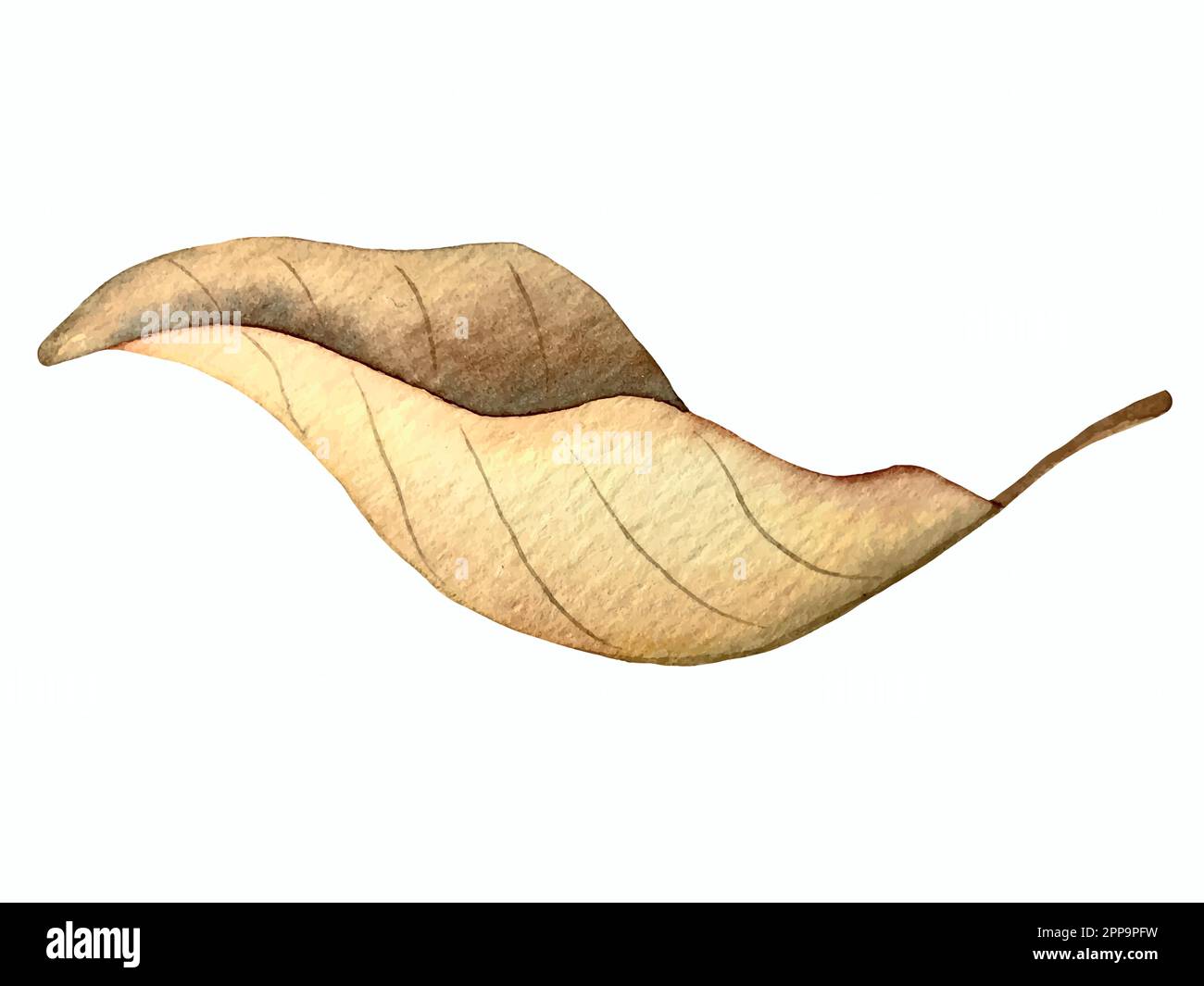 Aquarell-Vektor-Herbstset. Dekorationen mit Waldblättern und Pilzen. Stock Vektor