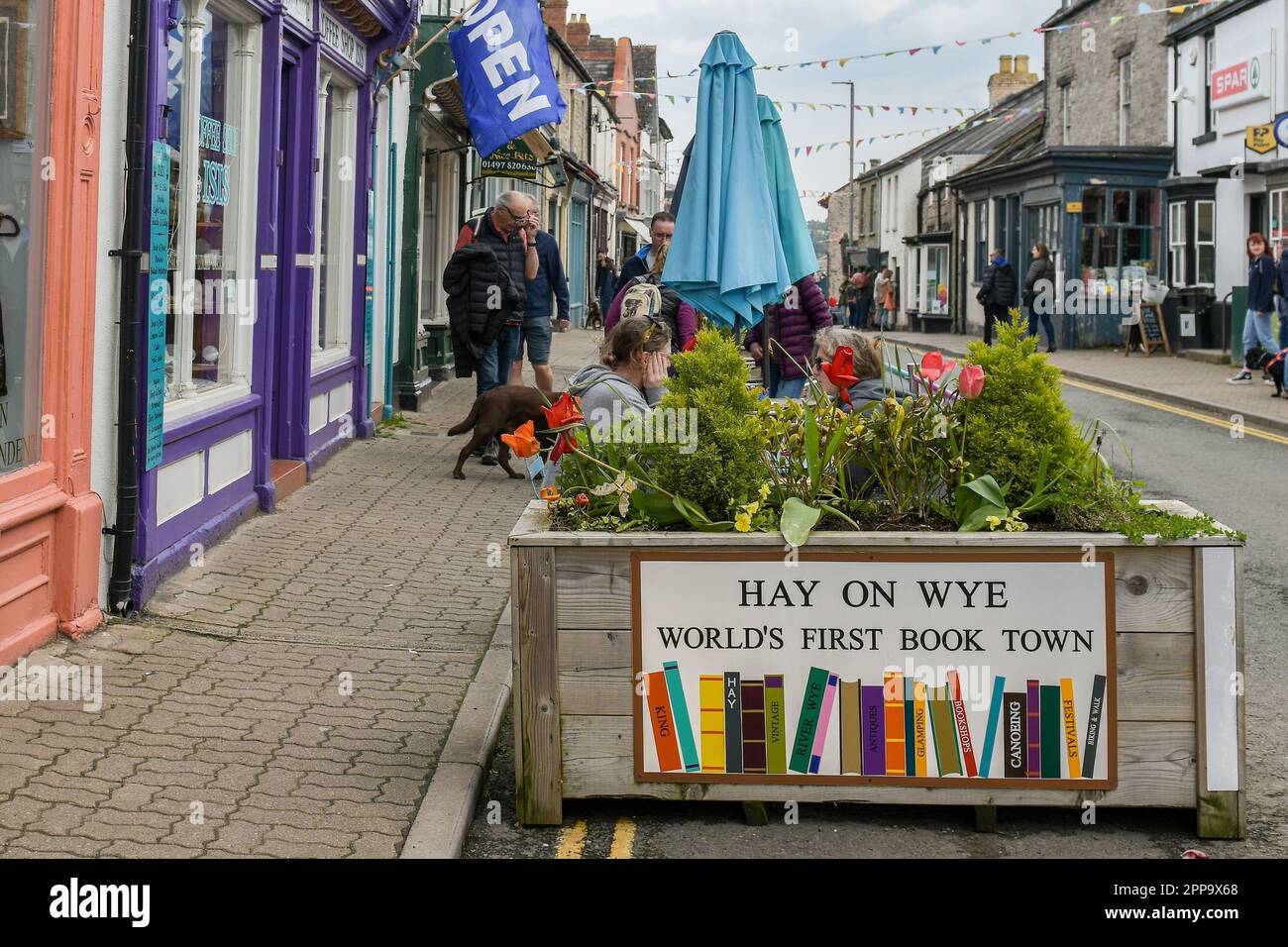 Heu-auf-WyeDogs Stockfoto