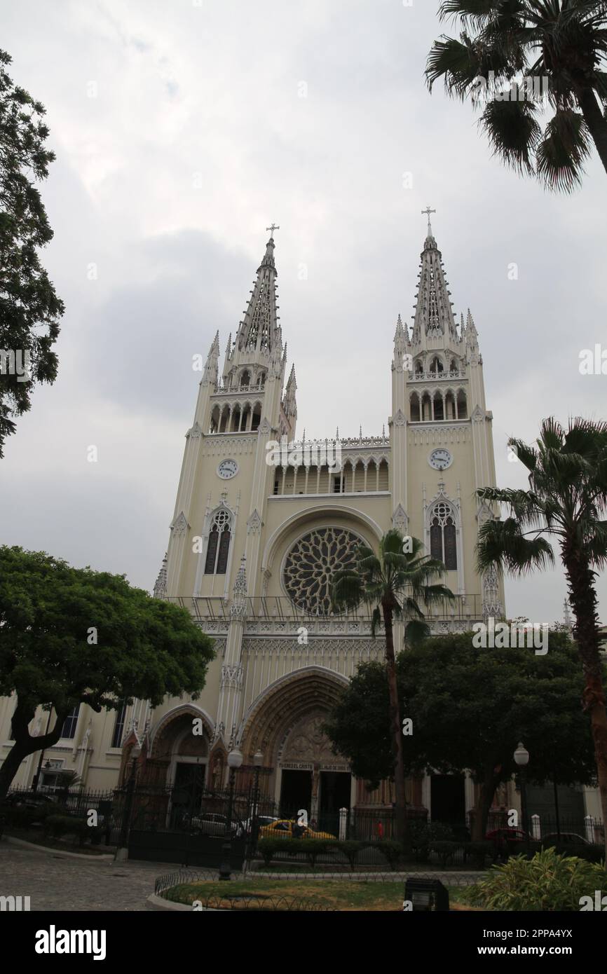 Die Metropolitan Cathedral in Guayaquil, Ecuador Stockfoto