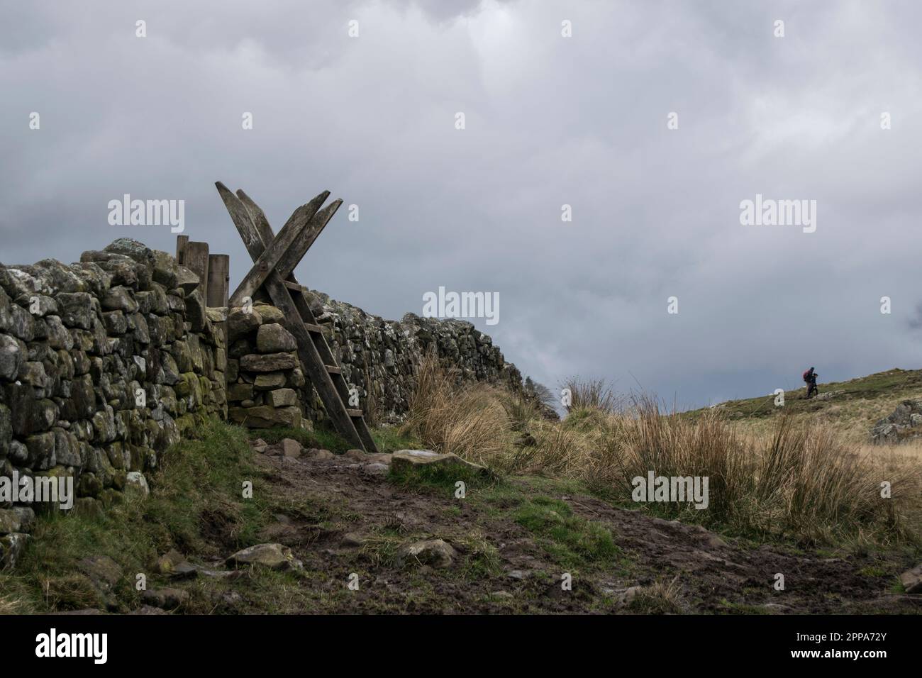Holzstiel auf einem Fußweg in der Nähe der Sycamore Gap Stockfoto