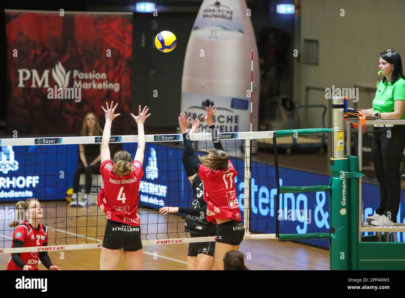 Volleyball 2. Bundesliga Nord Frauen. Bayer Volleys - Stralsunder Wildcats 22.04.2023, Meisterschaftsentscheidung. Stockfoto