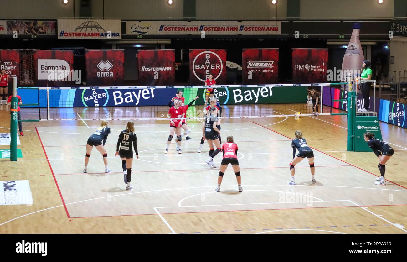 Volleyball 2. Bundesliga Nord Frauen. Bayer Volleys - Stralsunder Wildcats 22.04.2023, Meisterschaftsentscheidung. Stockfoto