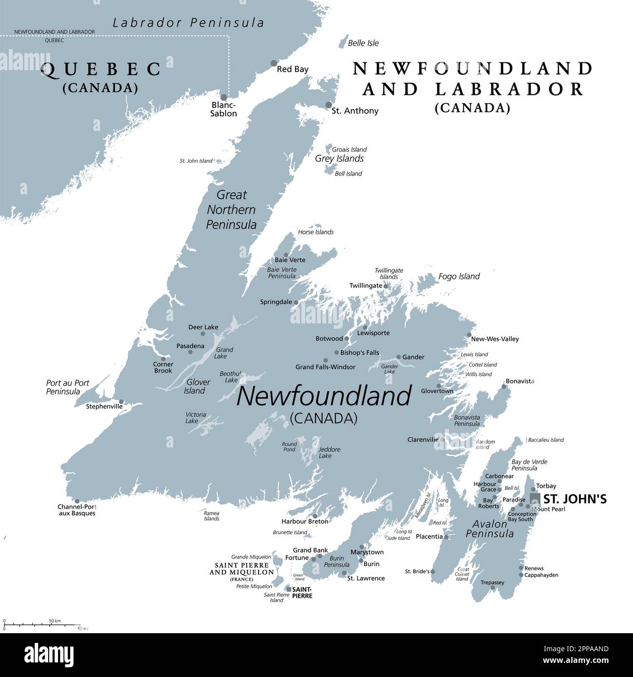 Insel Neufundland, graue politische Karte. Teil der kanadischen Provinz Neufundland und Labrador mit der Hauptstadt St. Johns. Stockfoto