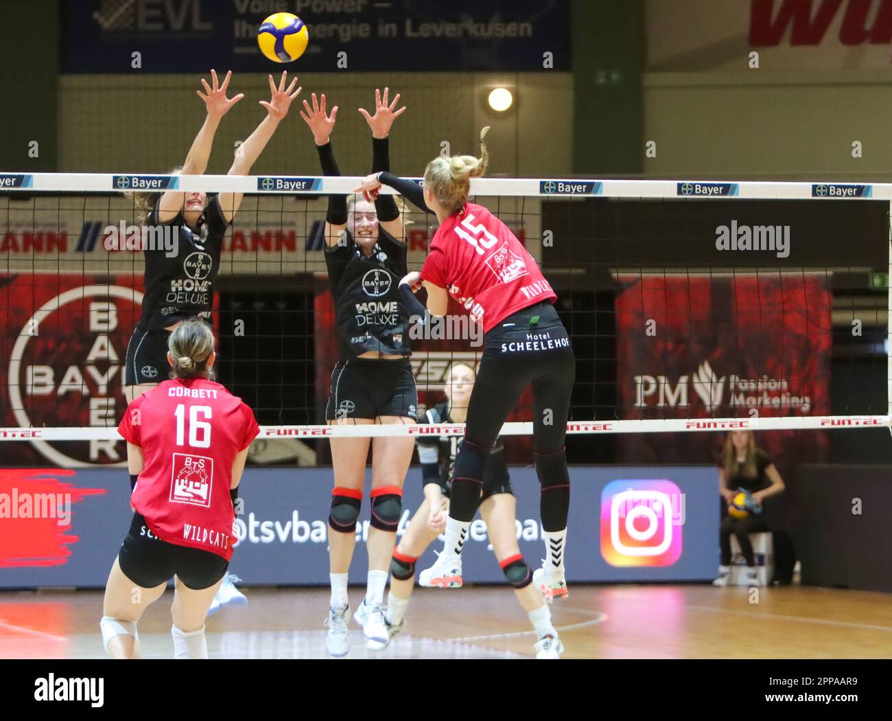 Volleyball 2. Bundesliga Nord Frauen. Bayer Volleys - Stralsunder Wildcats 22.04.2023, Meisterschaftsentscheidung. Stockfoto