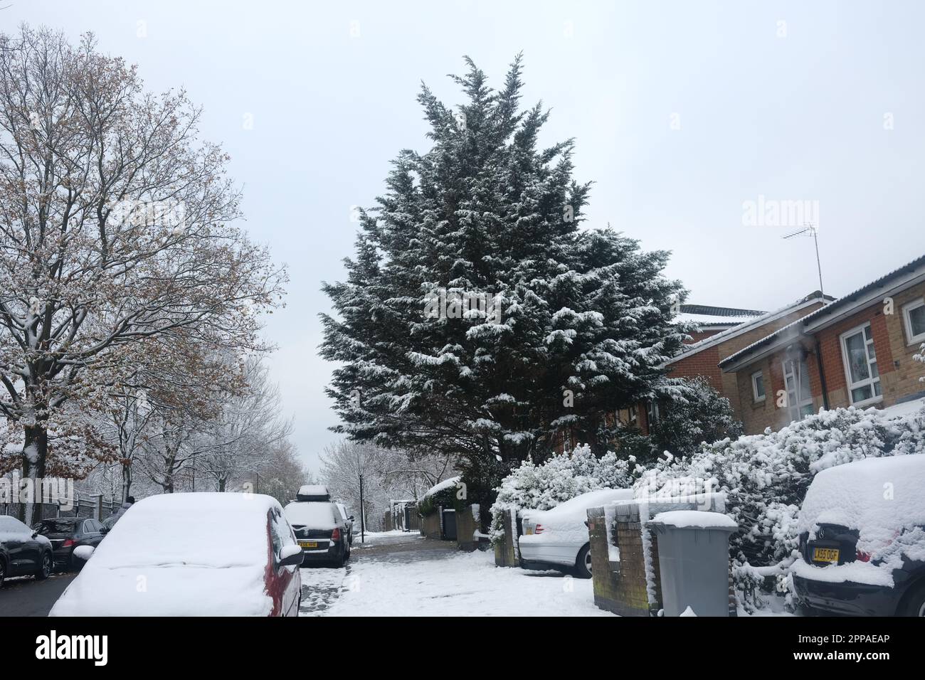 Eine verschneite Straßenszene in Cricklewood, North London, mit einer Vielzahl von Bäumen, Häusern, Autos und Mülltonnen. Aufgenommen im Dezember 2022 Stockfoto