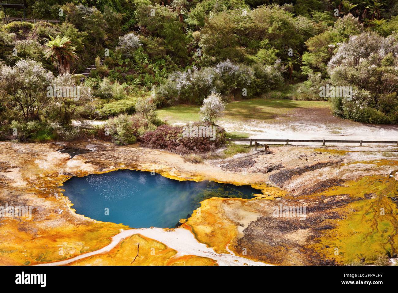 Orakei Korako Geotermal Bereich, New Zealand Stockfoto