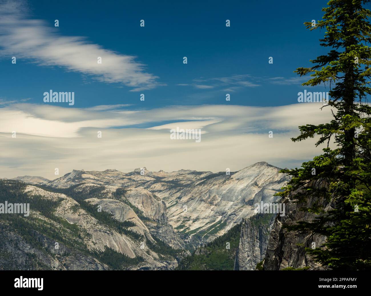 Sanfte Hügel und Berge aus weißem Granit, so weit das Auge in Yosemite sehen kann Stockfoto