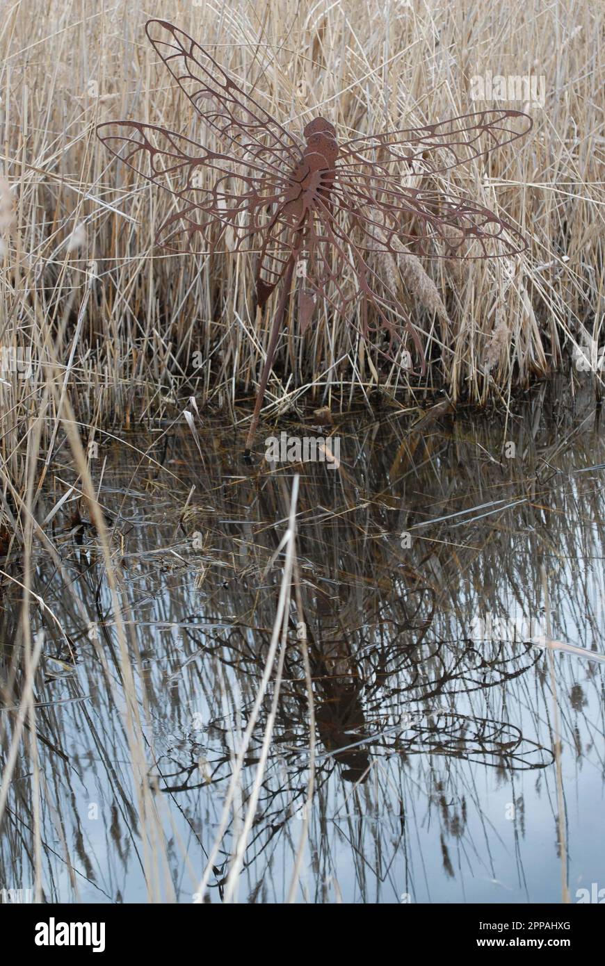 Skulptur der Libelle im Spiegel der Reflexion im Wasser, Royal Society for Protection of Birds (RSPB) Reserve, Rainham Marshes, 12. März 2023 Stockfoto