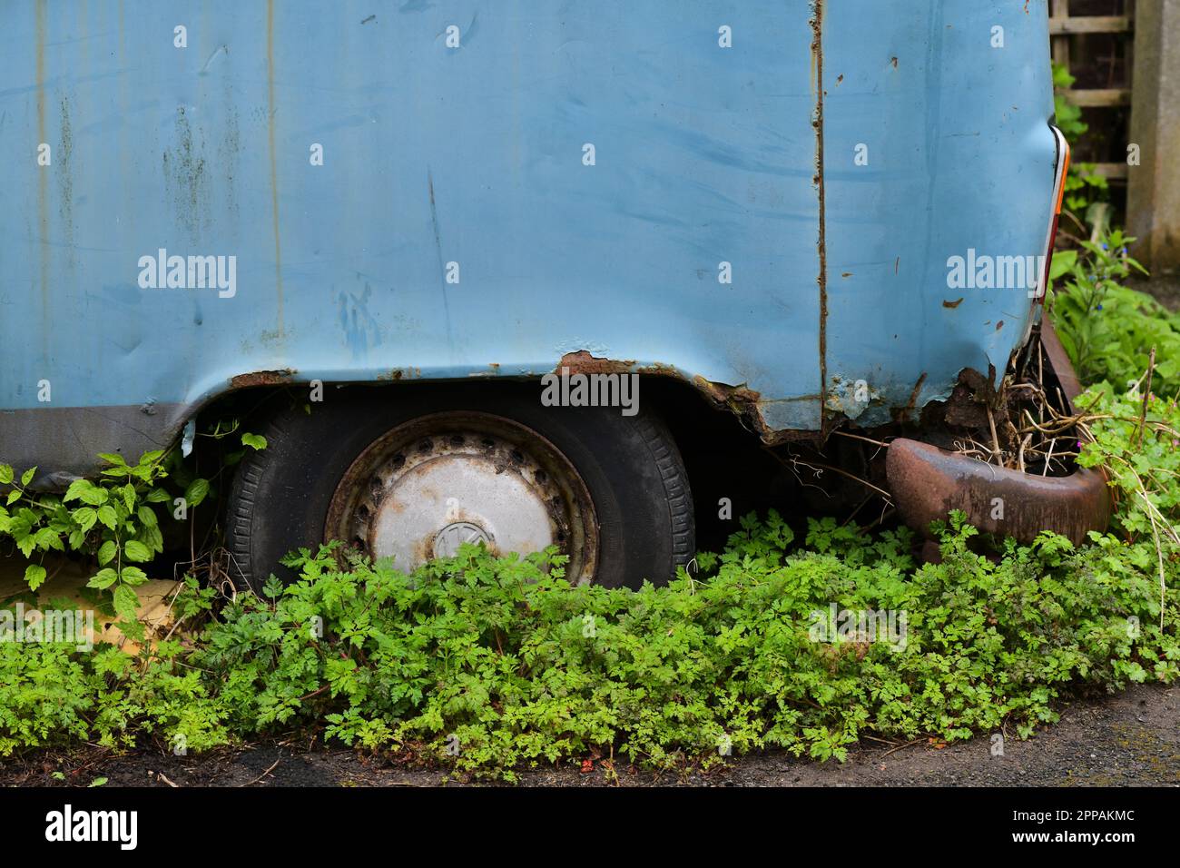 Edinburgh Scotland, Vereinigtes Königreich, 23. April 2023. Ein blauer Wohnwagen in Leith, der seit einer Generation verlassen wurde und vom grünen Laub übernommen wurde. Live-Nachrichten von sst/alamy Stockfoto