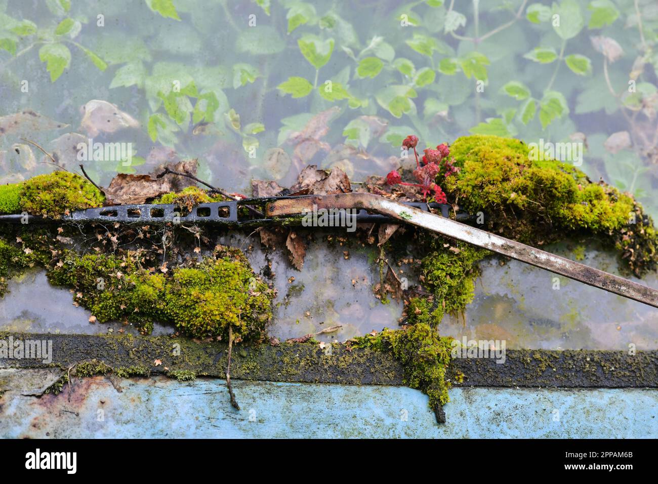 Edinburgh Scotland, Vereinigtes Königreich, 23. April 2023. Ein blauer Wohnwagen in Leith, der seit einer Generation verlassen wurde und vom grünen Laub übernommen wurde. Live-Nachrichten von sst/alamy Stockfoto