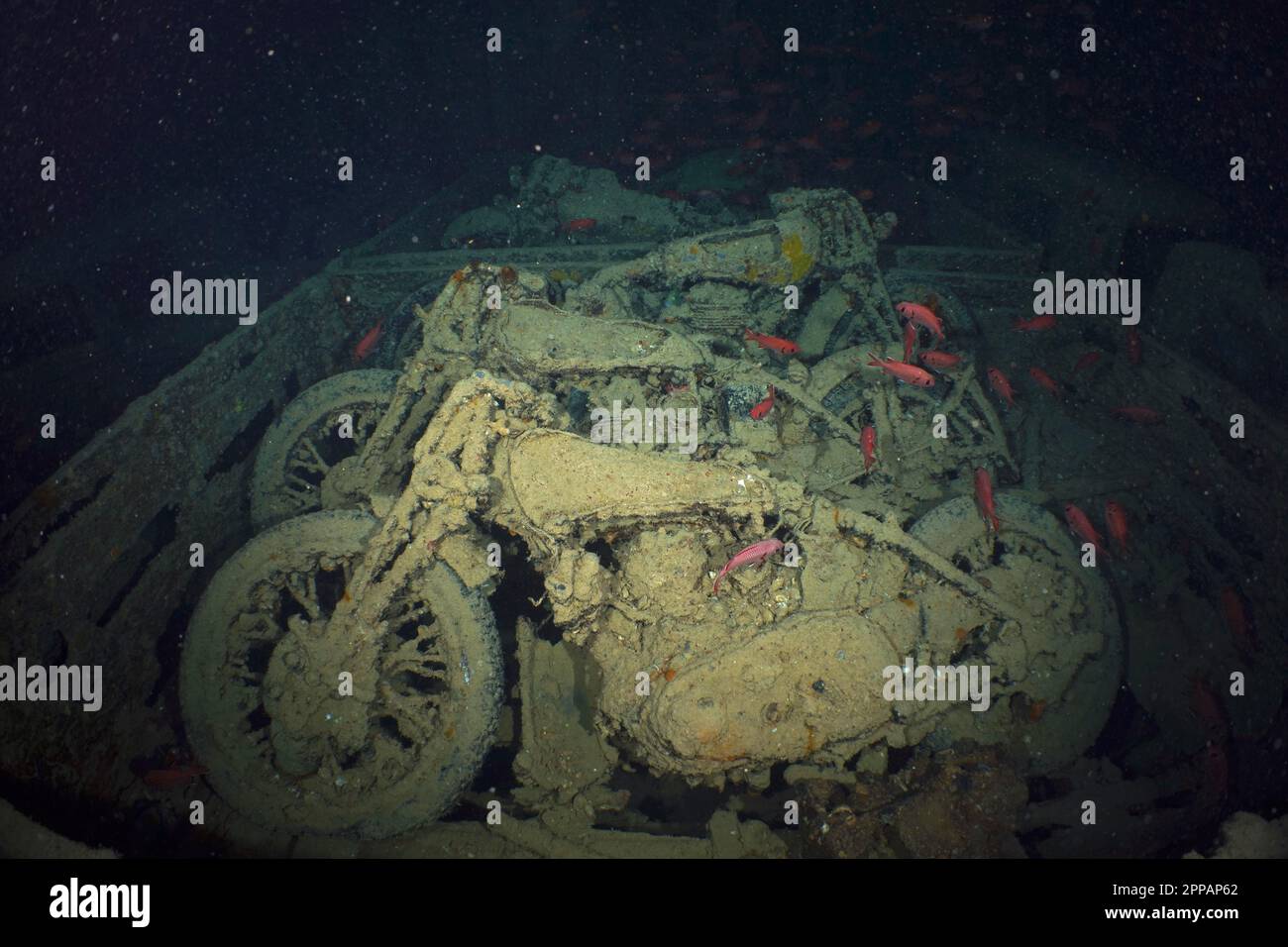 3 Norton Motorräder aus dem Zweiten Weltkrieg im Laderaum des Thistlegorm, Wrack. Tauchplatz Thistlegorm Wreck, Sinai, Ägypten, Rotes Meer Stockfoto