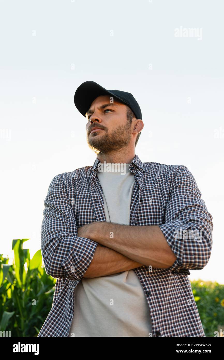 Ein bärtiger Bauer in einer Mütze und einem karierten Hemd vor dem Hintergrund eines Maisfeldes. Hochwertiges Foto Stockfoto