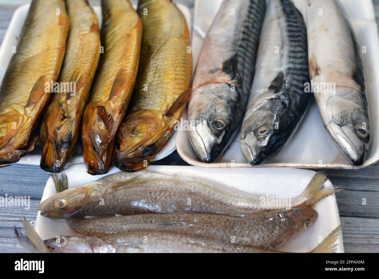 Verschiedene Arten roher Makrelenfische, Saurida undosquamis, Eidechsenbarsch, großmaßstäbliche Grinsen- oder Larscale-Saurenfische und geräucherte Salz Stockfoto