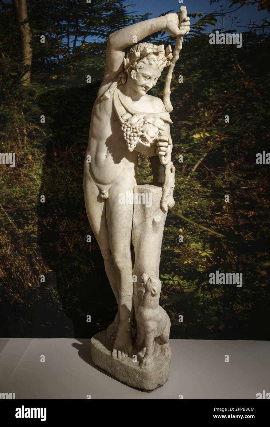 Römische Marmorstatue eines Satyr, einer Gefährtin des gottes Bacchus, mit einem Panther und einem Haufen Trauben, ca. 50BC aus einer Villa in Telesia, Kampanien, Italien Stockfoto