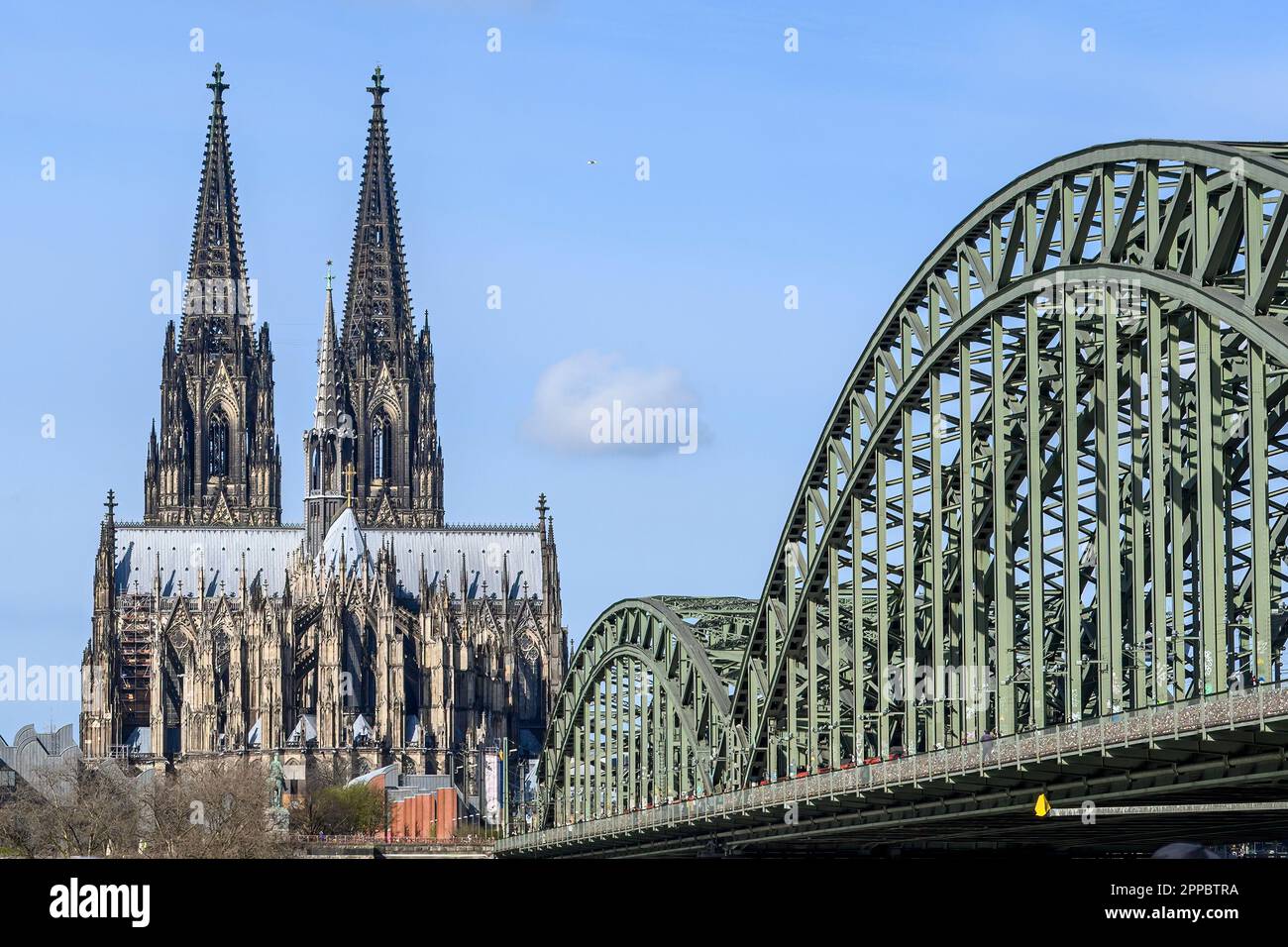 Kölner Dom und HohenzollernbrŸcke Stockfoto