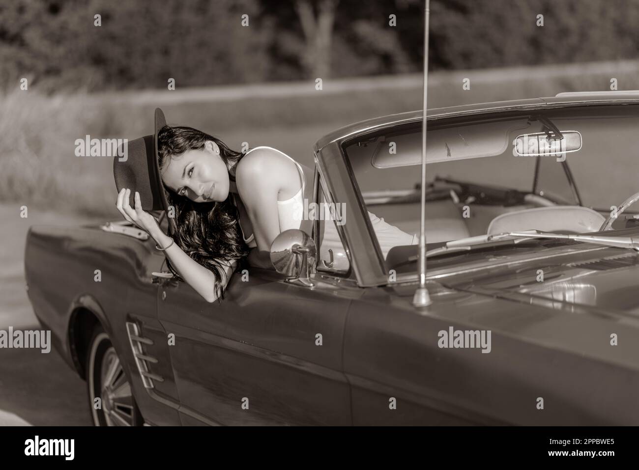 Sommertage Stockfoto