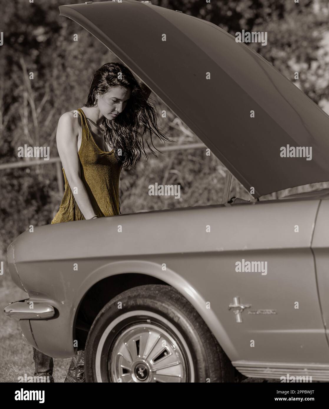 Sommertage Stockfoto