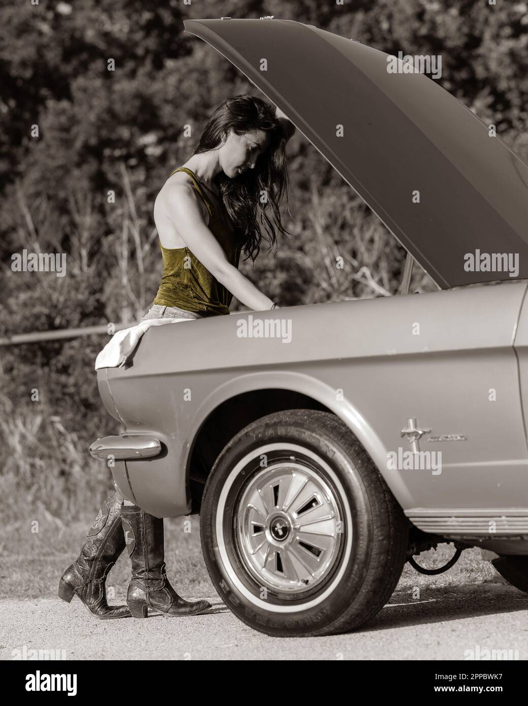 Sommertage Stockfoto