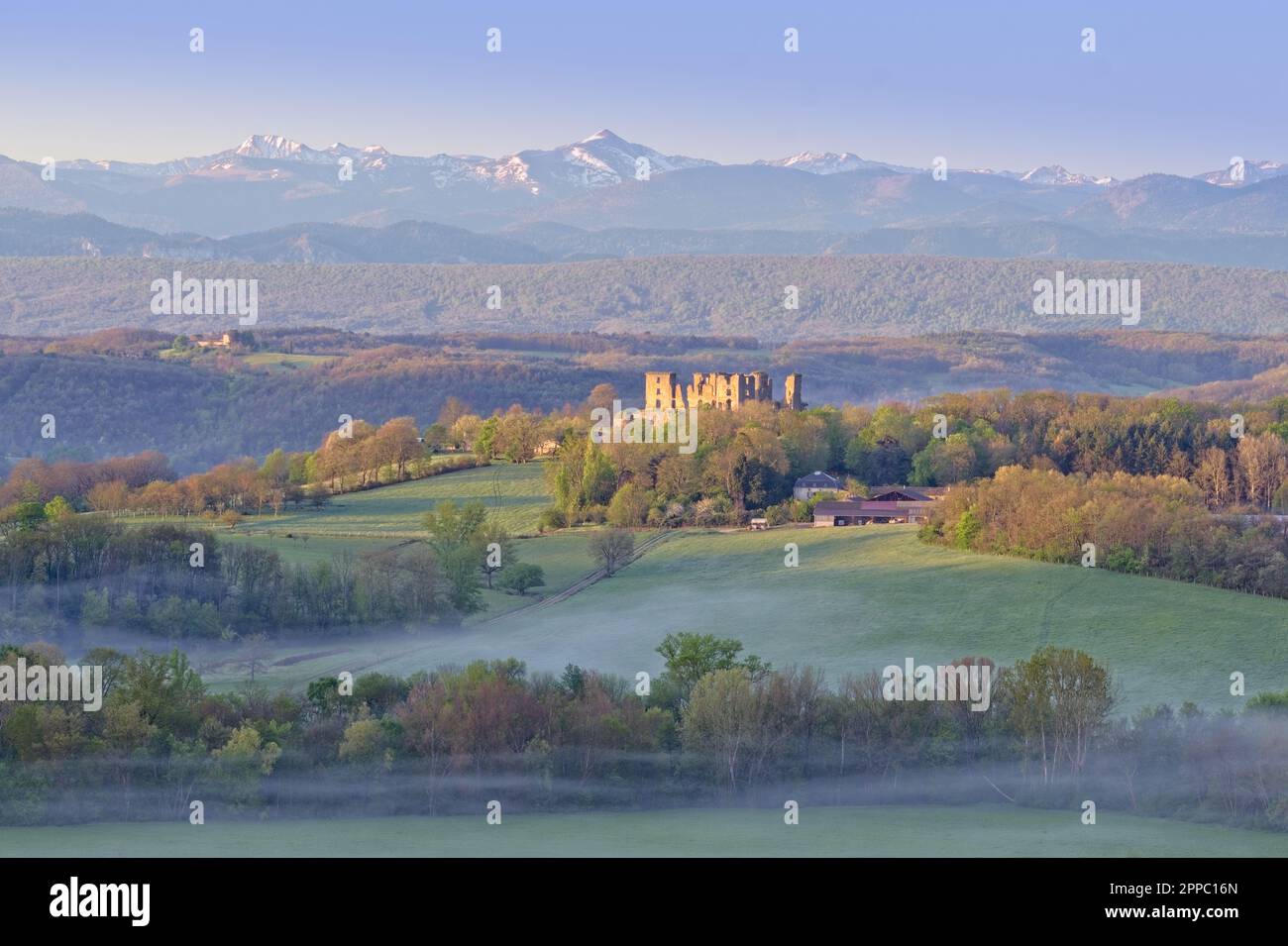 Lagarde Areige France 04.23.23 Spring Time Panorama. Der frühmorgendliche Nebel zieht über die grüne Wiese, die von Reihen von Bäumen gesäumt ist. Burgruine, Schneekappengipfel Stockfoto