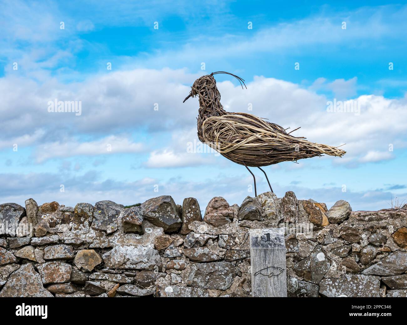 Woven Willow Bird Skulpture, Holy Island of Lindisfarne, Northumberland, England, Großbritannien Stockfoto