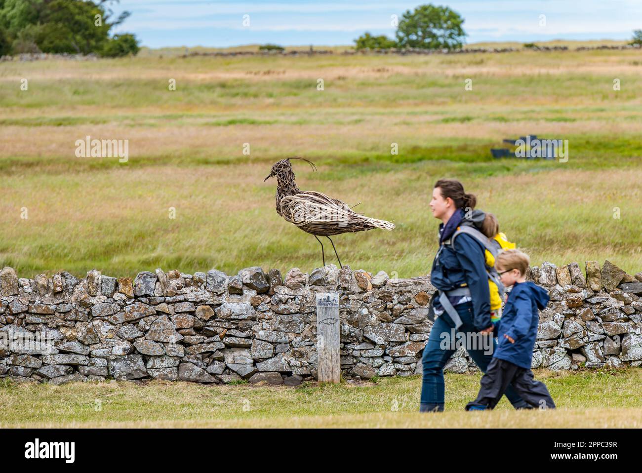 Frau und Kind oder Mutter und Junge, die an einer gewobenen Vogelskulptur auf einer Dystonwand auf Holy Island of Lindisfarne, Northumberland, England, Großbritannien vorbeigehen Stockfoto