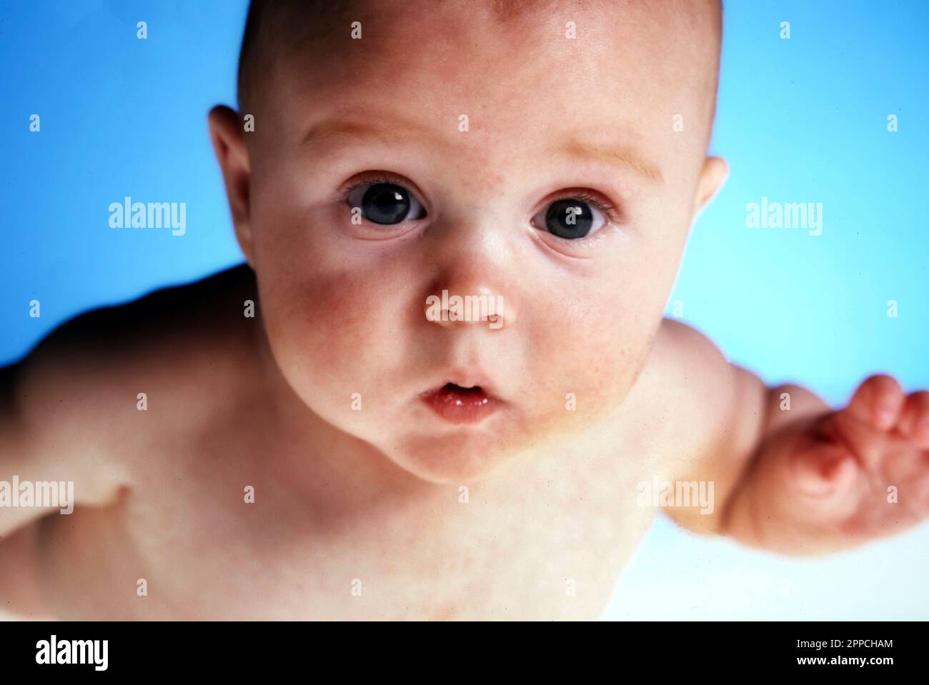 Nahporträt eines sehr neugierigen Babys auf blauem Hintergrund Stockfoto