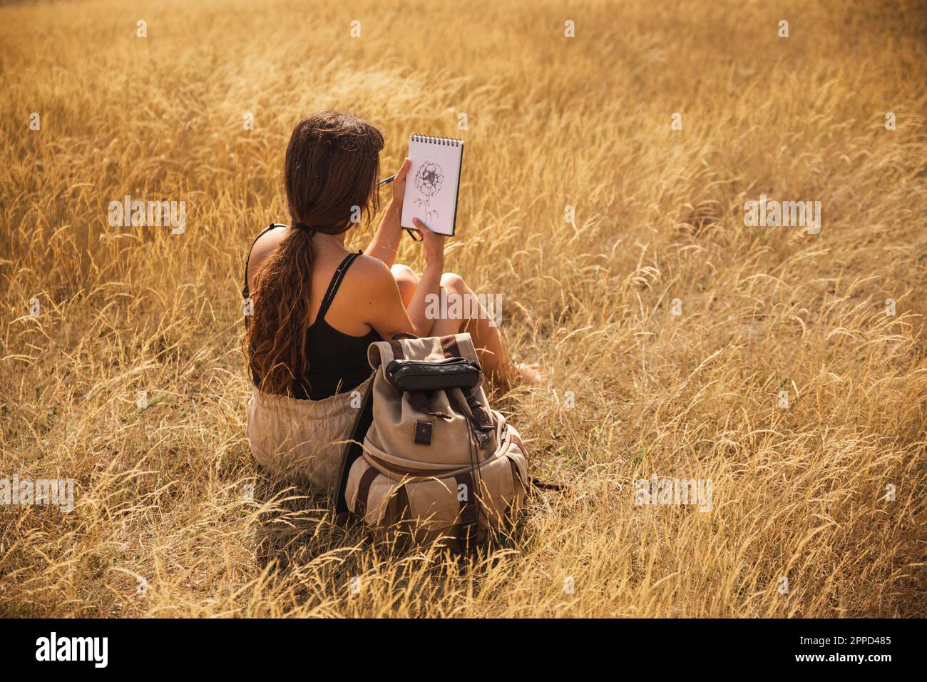 Junge Frau, die auf trockenem Gras sitzt und die Blumenzeichnung ansieht Stockfoto