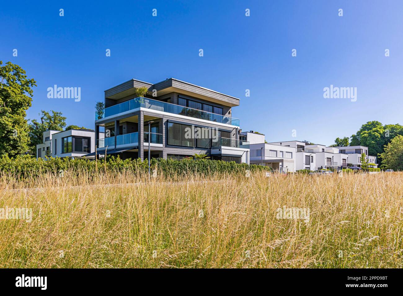 Deutschland, Baden-Württemberg, Ludwigsburg, Meadow vor modernen Vorstadthäusern Stockfoto