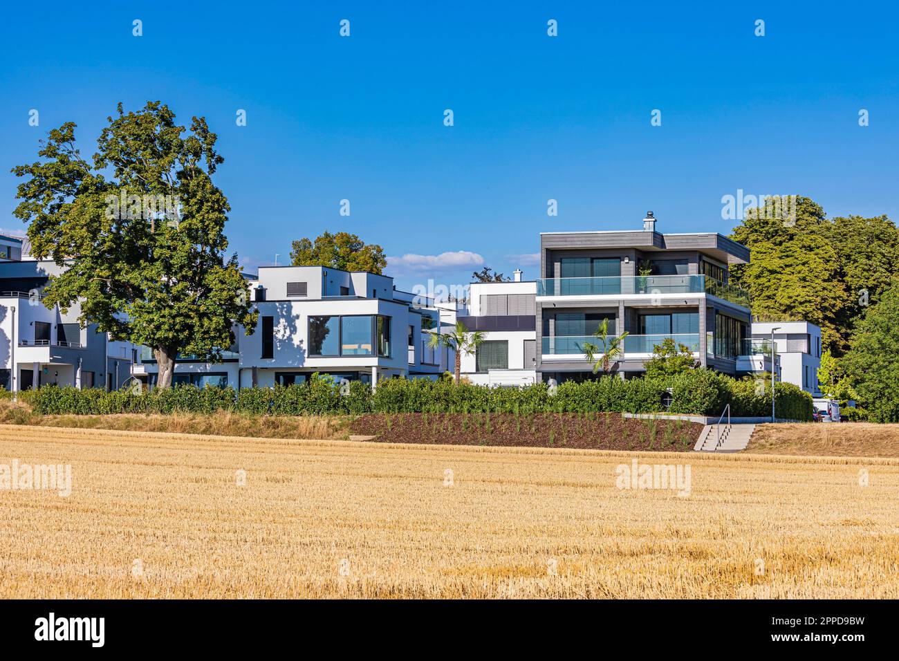 Deutschland, Baden-Württemberg, Ludwigsburg, Feld vor modernen Vorstadthäusern Stockfoto